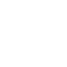 Health icon